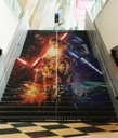 Walk & Wall 48" x 82'