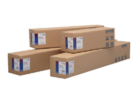 Epson DS Transfer Multi-Use Paper 17&quot; x 100' S450359