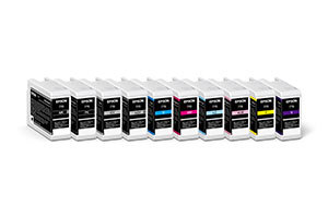 Epson Pro 10 Inks