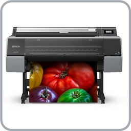 Wide Format Printers / Epson Printers / Epson SureColor Professional Printers