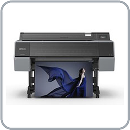 Inkjet Cartridges / Epson Cartridges and Maintenance Tanks / Epson SureColor P Series Inks