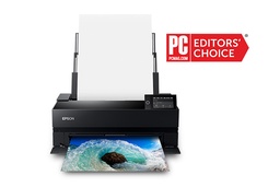Inkjet Cartridges / Epson Cartridges and Maintenance Tanks / Epson SureColor P Series Inks / Epson Pro 10 Ink Cartridges P700/P900