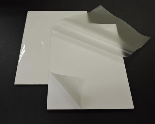 [WALK305] Gloss Pouch Board, White 25" x 37" (Box of 10)